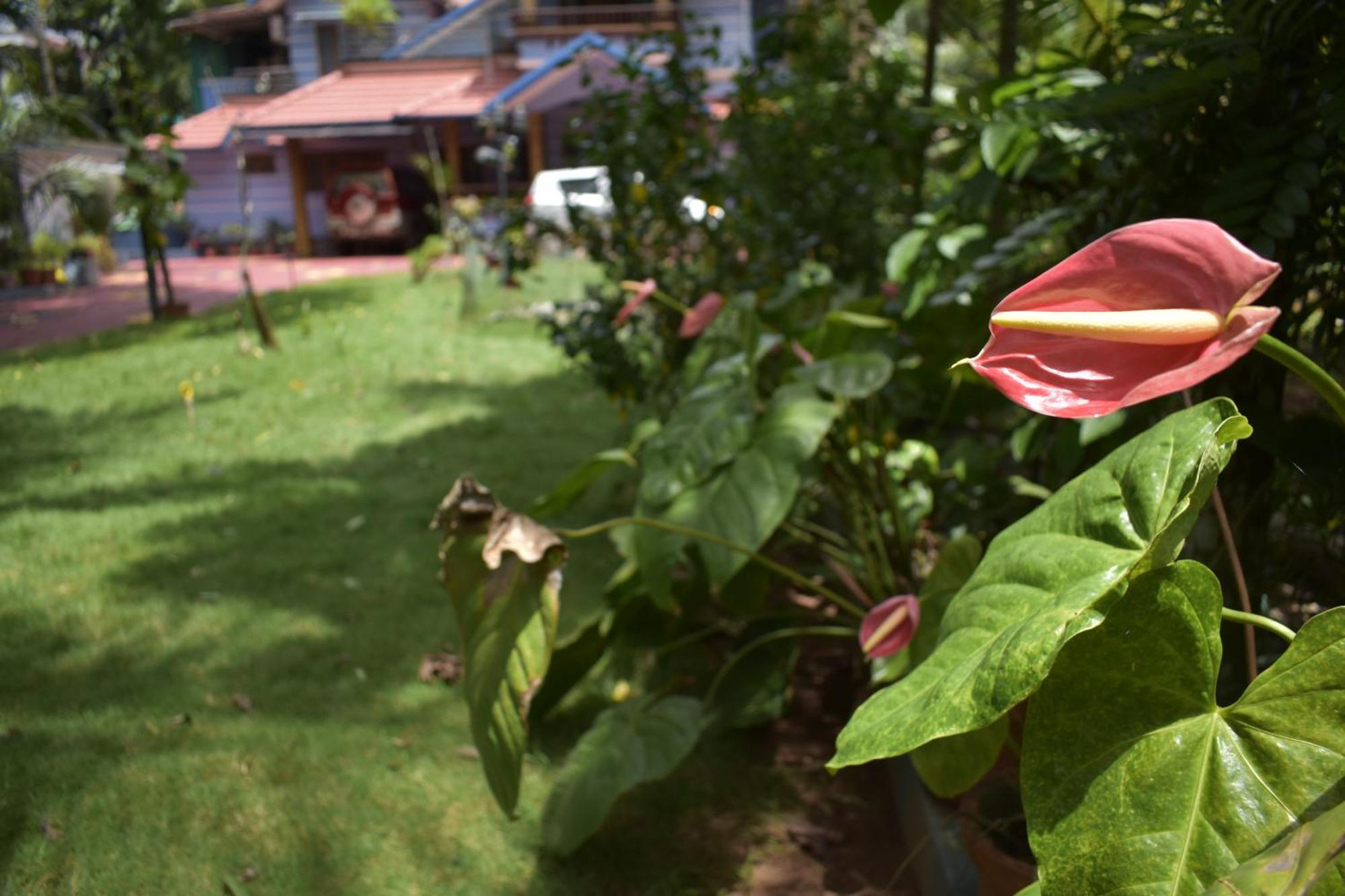 Ben'S Villa Kannur ! ภายนอก รูปภาพ